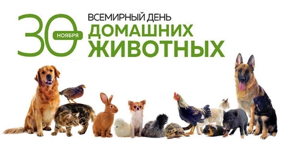 Всемирный день домашних животных.